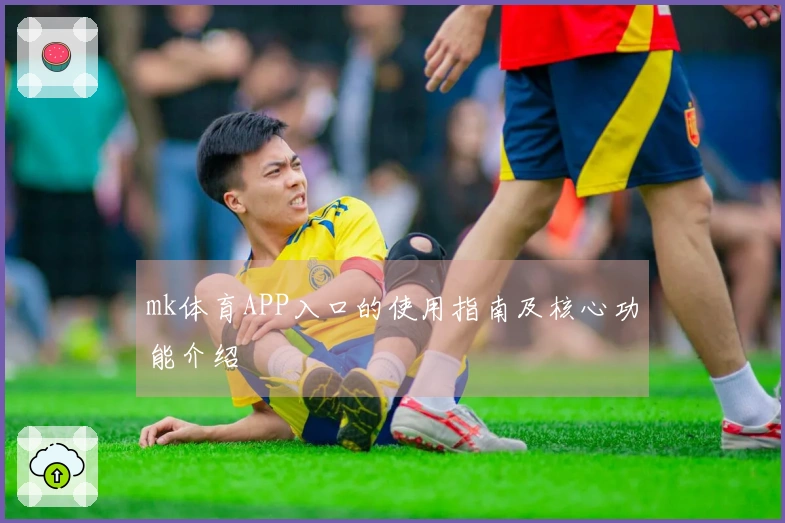 mk体育APP入口的使用指南及核心功能介绍