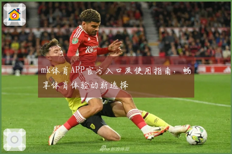 mk体育APP官方入口及使用指南，畅享体育体验的新选择