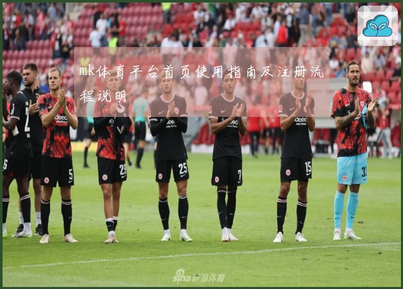 mk体育平台首页使用指南及注册流程说明